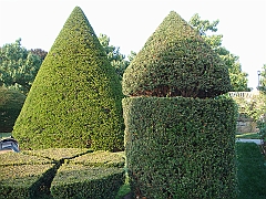 473 Longwood Gardens [2008 August 23]